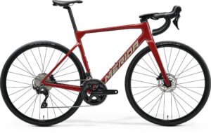 Cestno kolo Scultura 4000 2026